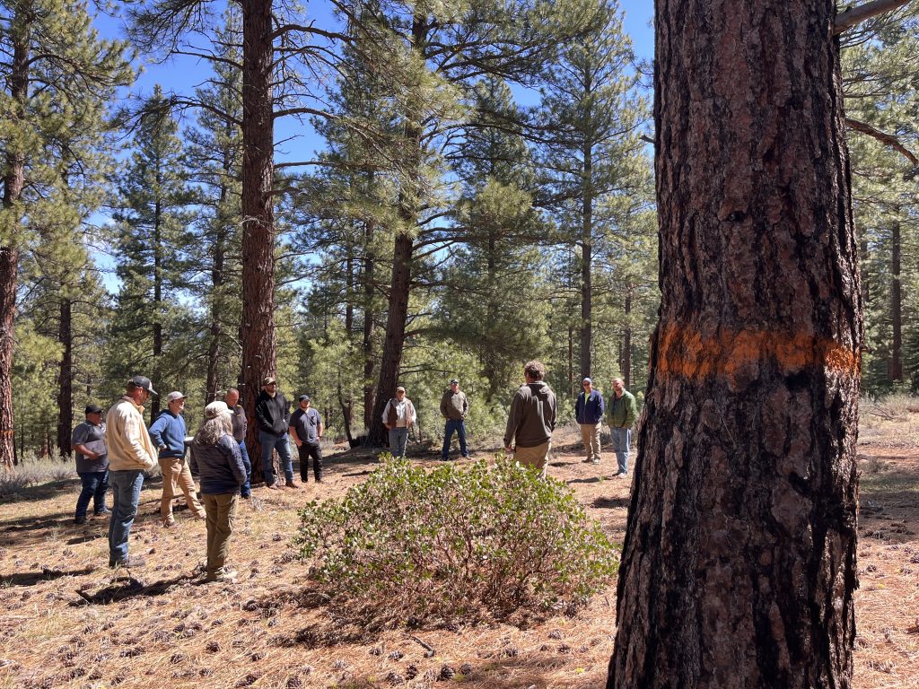 Solving California’s forest problem and protecting Nevada’s water supply – The Truckee River Watershed Council is addressing both