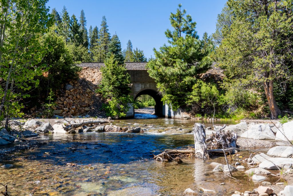 Restoration project brings new life to Coldstream Canyon