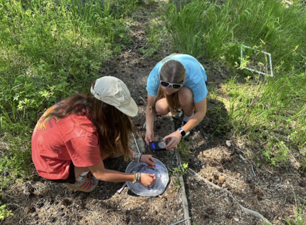 Curiosity leads the way as students become scientists with Headwaters Science Institute 