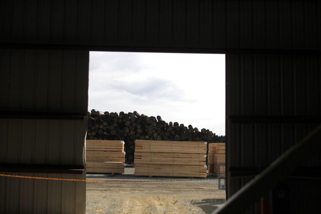 USDA announces $50 million investment to expand timber production, enhance forest health in Nevada
