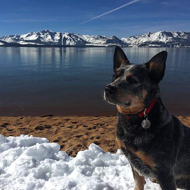 We found some sand to play in today. I'm not sure if I like snow or sand better.