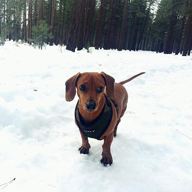 Really not a fan of this white stuff.