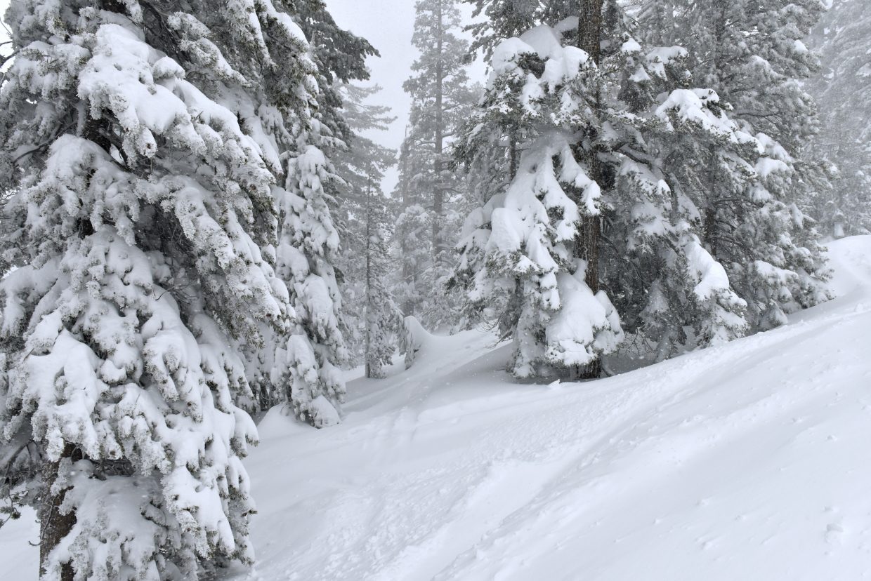 Lake Tahoe weather: Storm winds down after dumping 2 feet of snow in 24 ...
