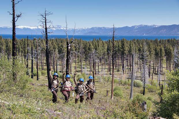 Angora Fire reinforced importance of fuels reduction ...