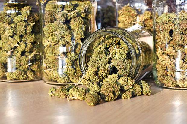 City Council ends anticipation on cannabis lounges - Vimarsana News