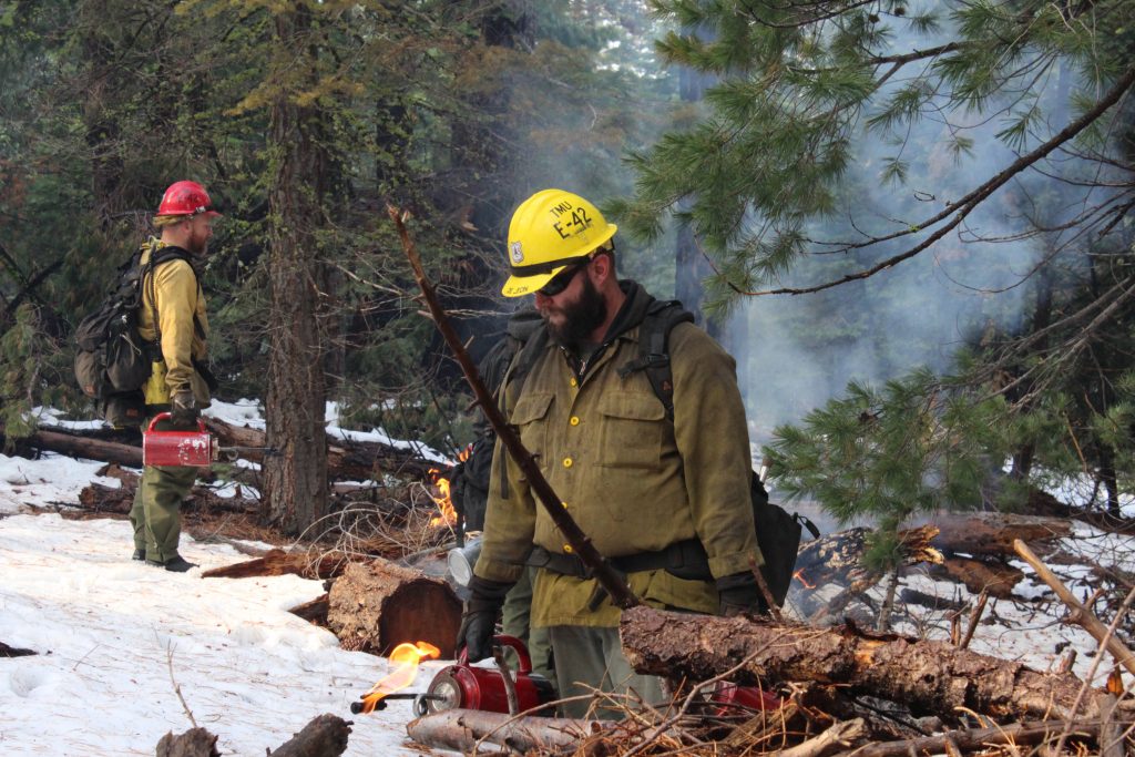 Prescribed fire operations to continue in Lake Tahoe Basin ...