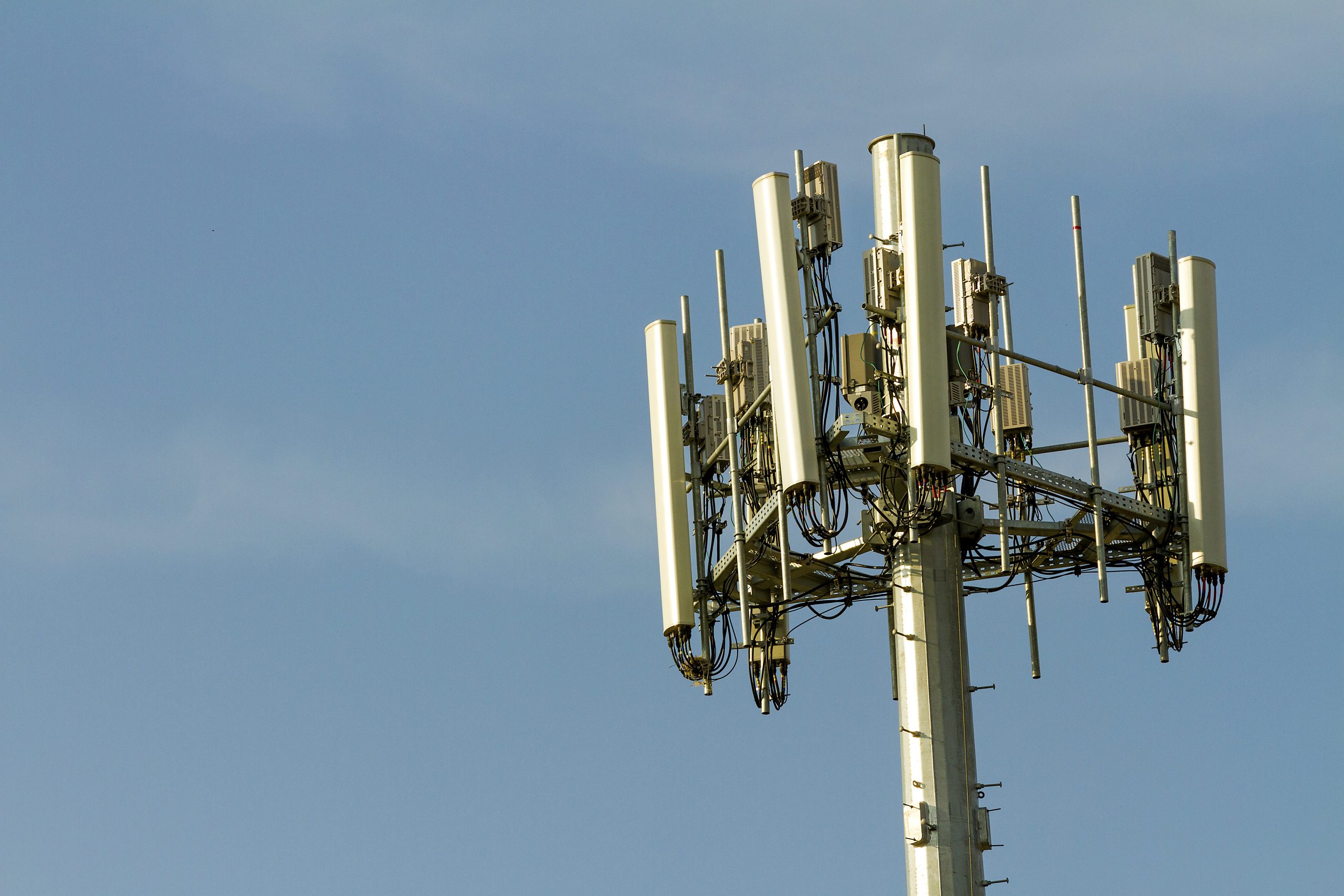Cell service is bad but towers kill? South Lake Tahoe in middle of ...