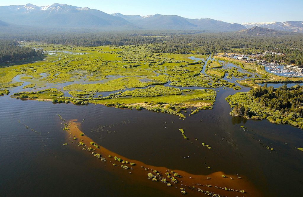 Seasonal dog closure to protect wildlife at Upper Truckee Marsh starts May 1