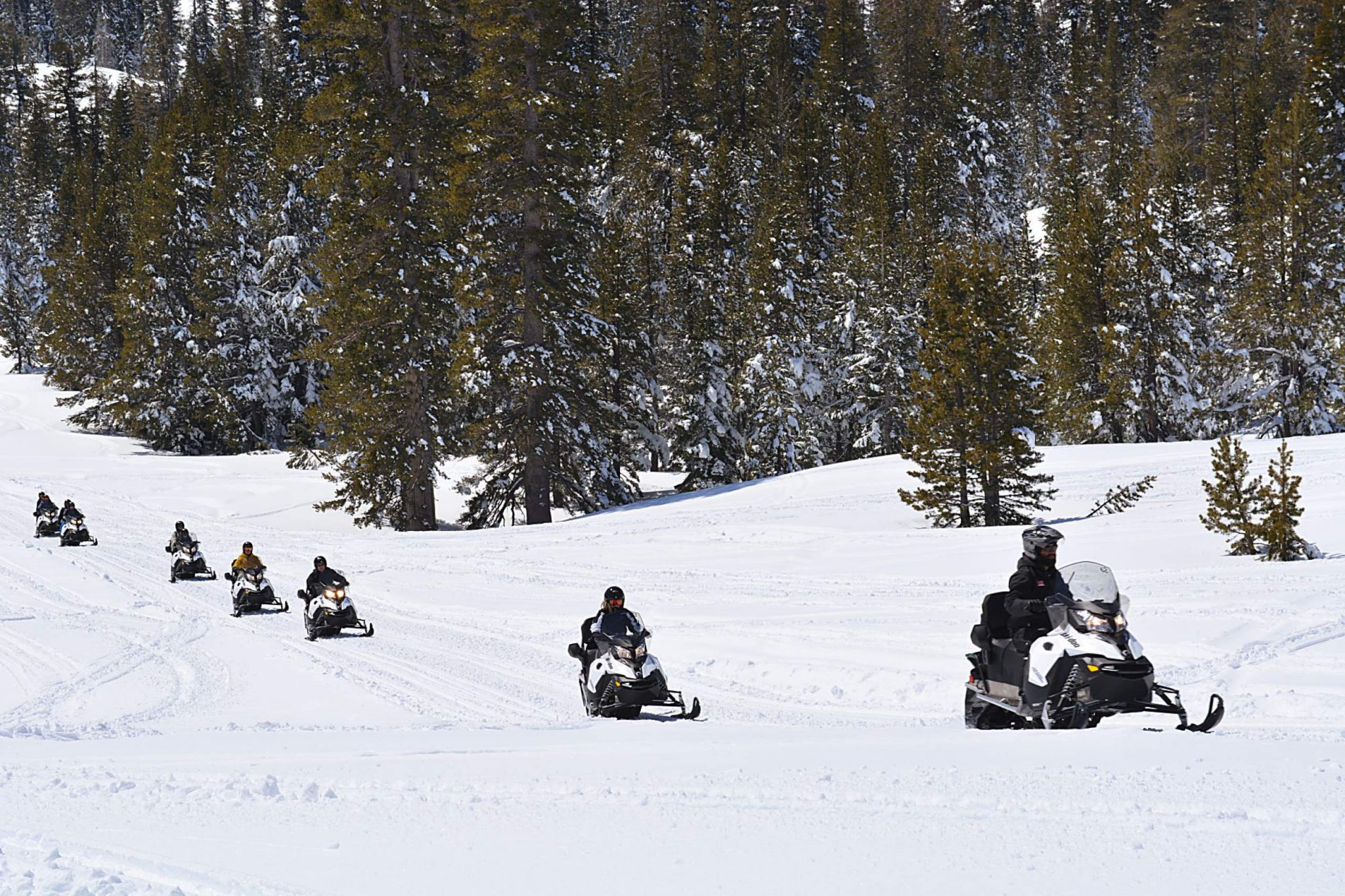Snowmobile Tours at Lake Tahoe Adventures in Meyers are open