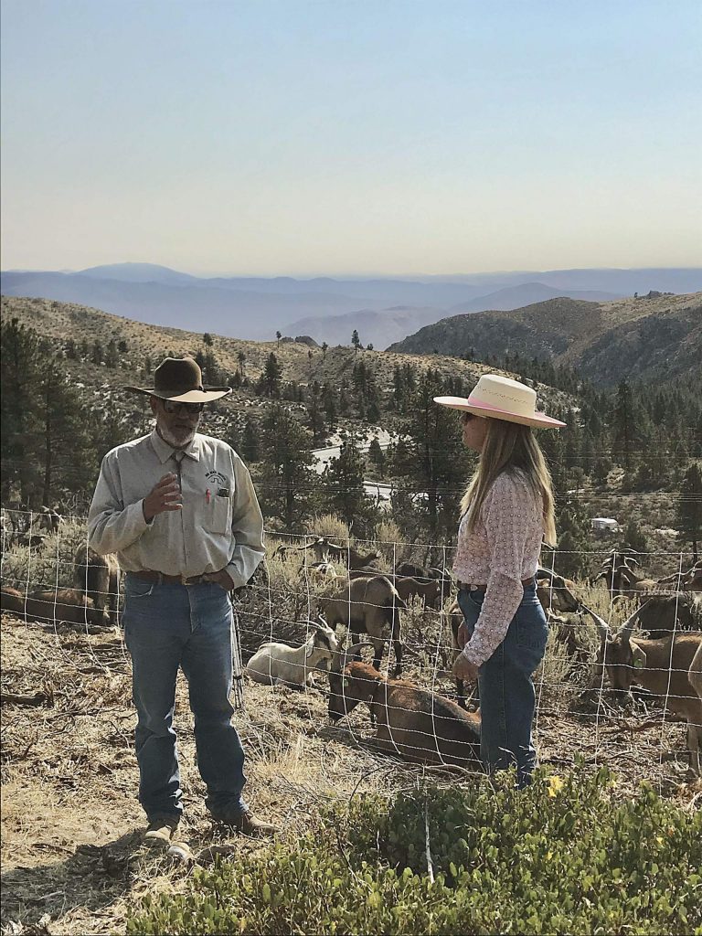 Denton and Shari Cook own High Desert Graziers and the 350 goats.