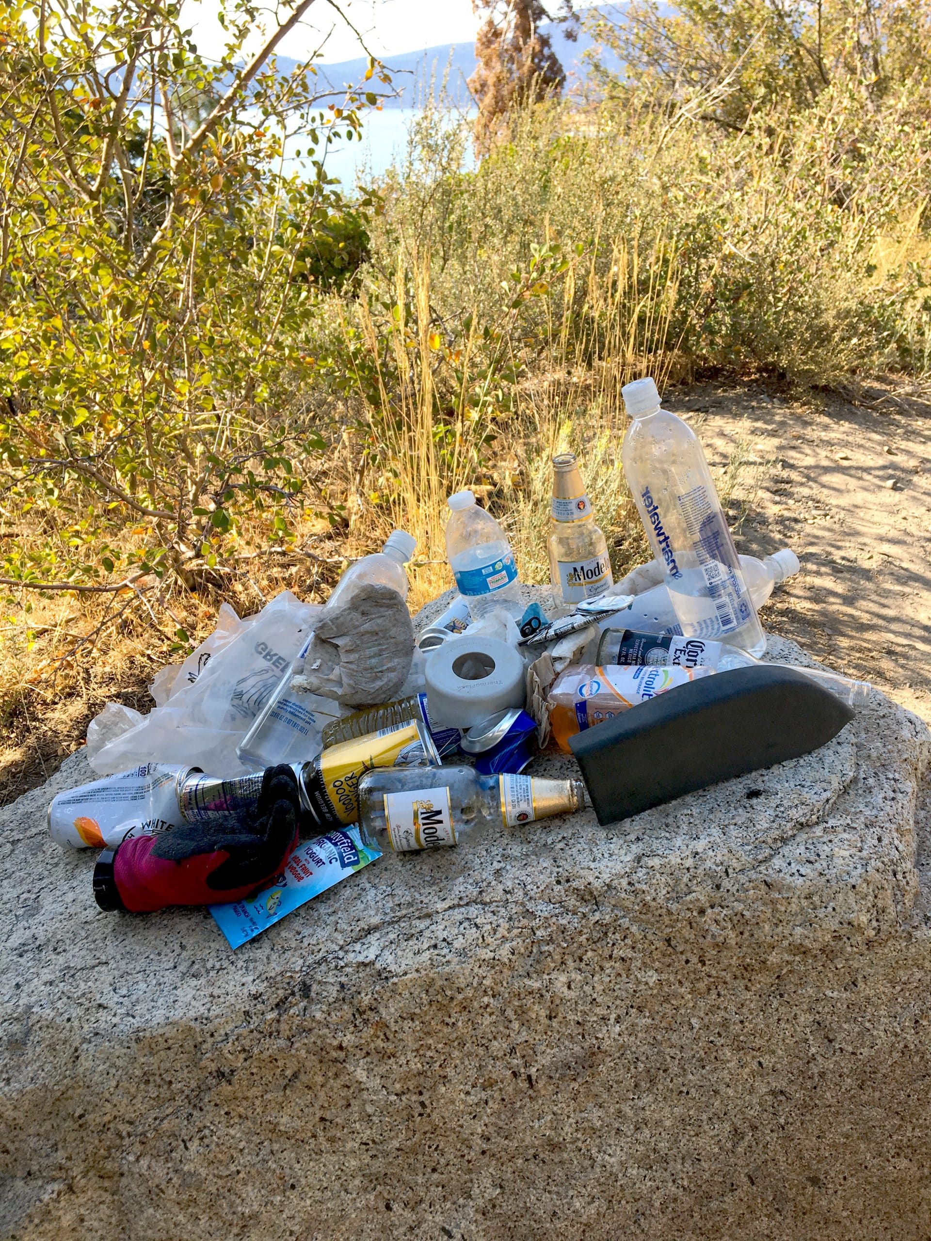 Incline woman runs into trouble picking up trash; seeks solutions ...
