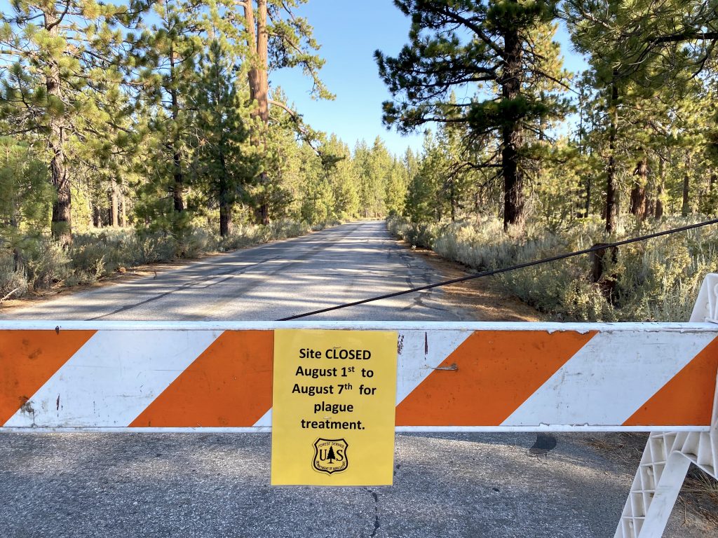 South Tahoe recreation areas reopened after plague treatment