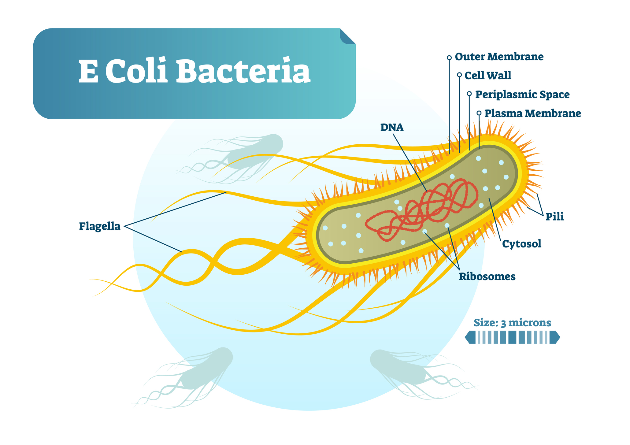 E.coli found in water near Camp Richardson; boil water advisory in ...