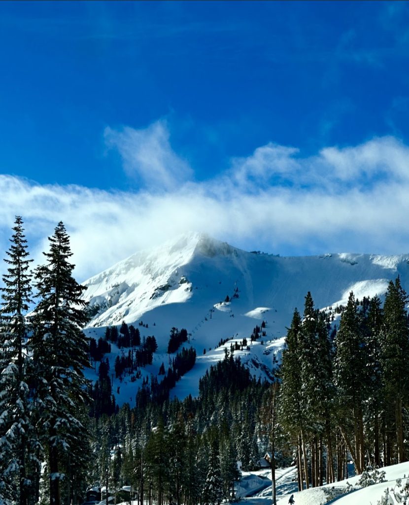 Vertical Drop fundraising event celebrates 15th year supporting