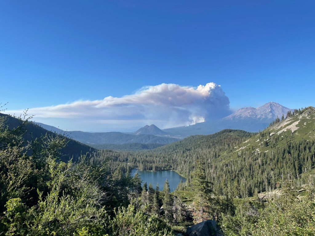 Smoke Covered 70% of California During Biggest Wildfire Years - Vimarsana News