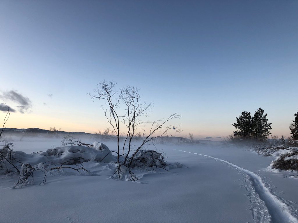 Tahoe National Forest issues closure following avalanche near Castle Peak