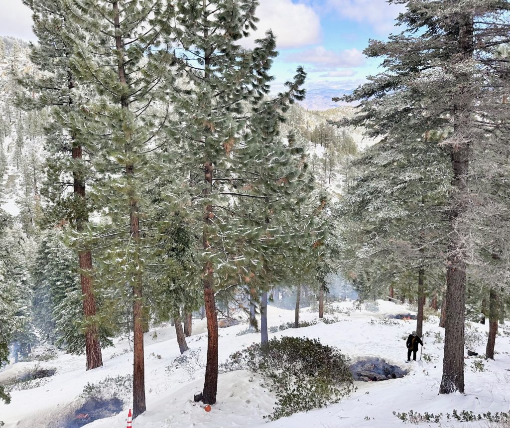California, Nevada join Northwest Compact for fire prevention, suppression