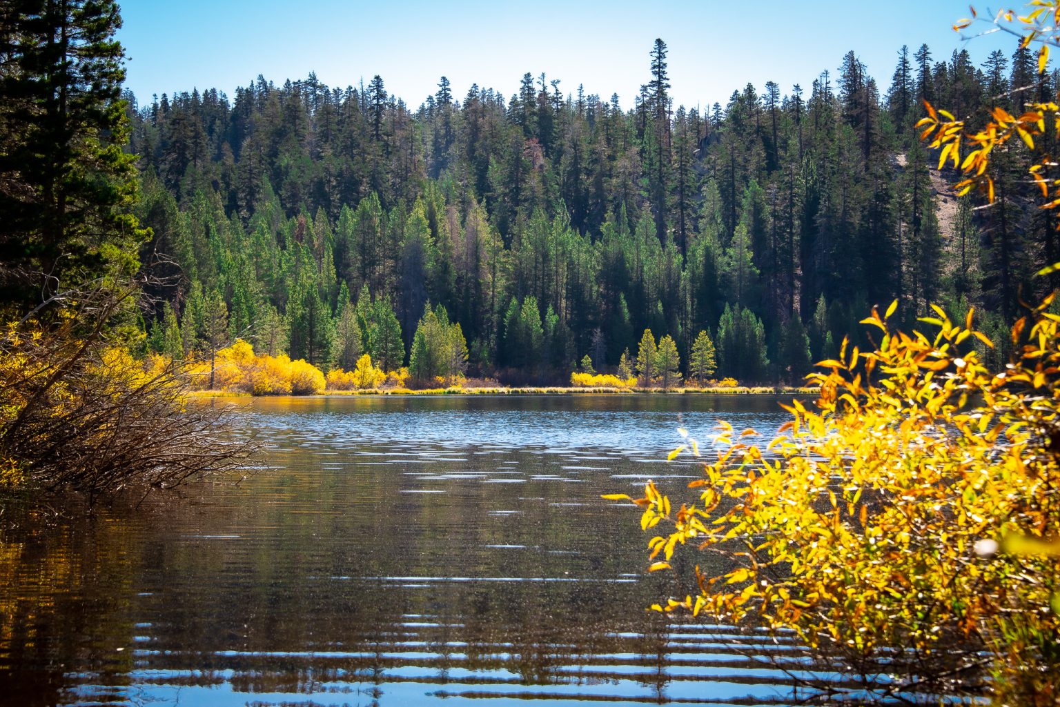 Nevada State Parks to host Public - Spooner 1 1536x1025 