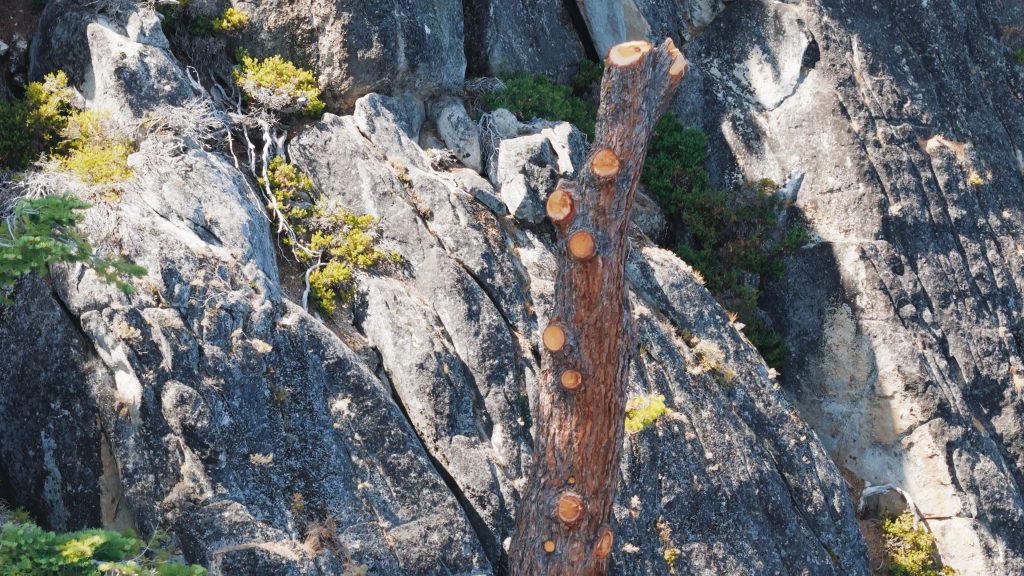 Tahoe’s rope swing battle: Athlete arrested after 100-foot jump ...