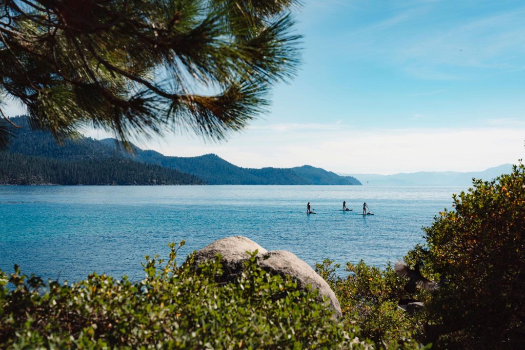 Sustainable Business Spotlight: Local brands to watch at the Go Local Business Expo