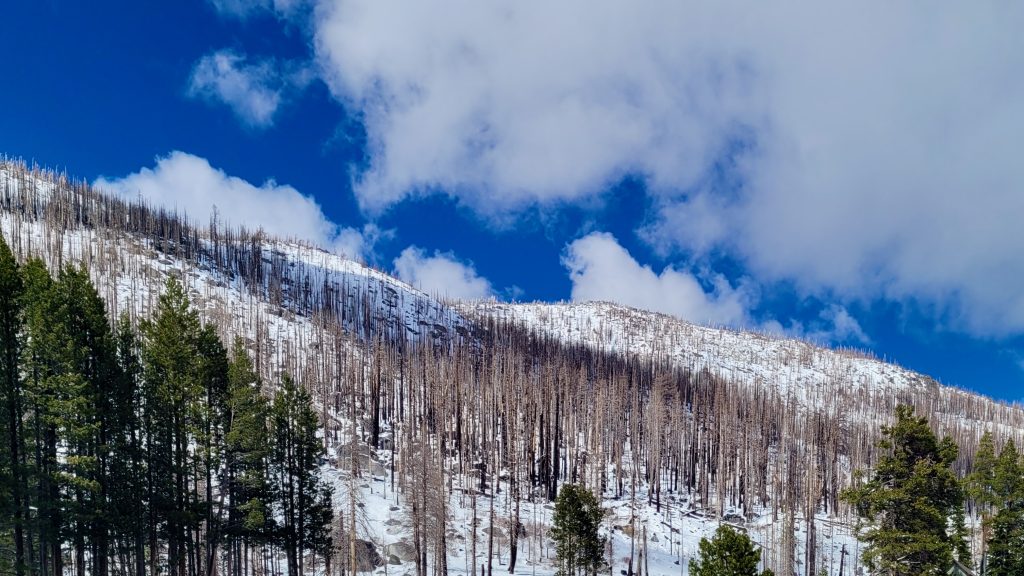 Fire and ice—Study explores Caldor Fire’s effect on snowpack