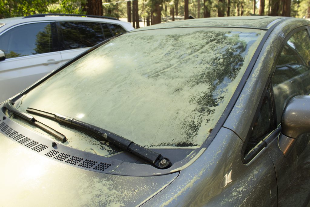 Is pine pollen this year worse than last?