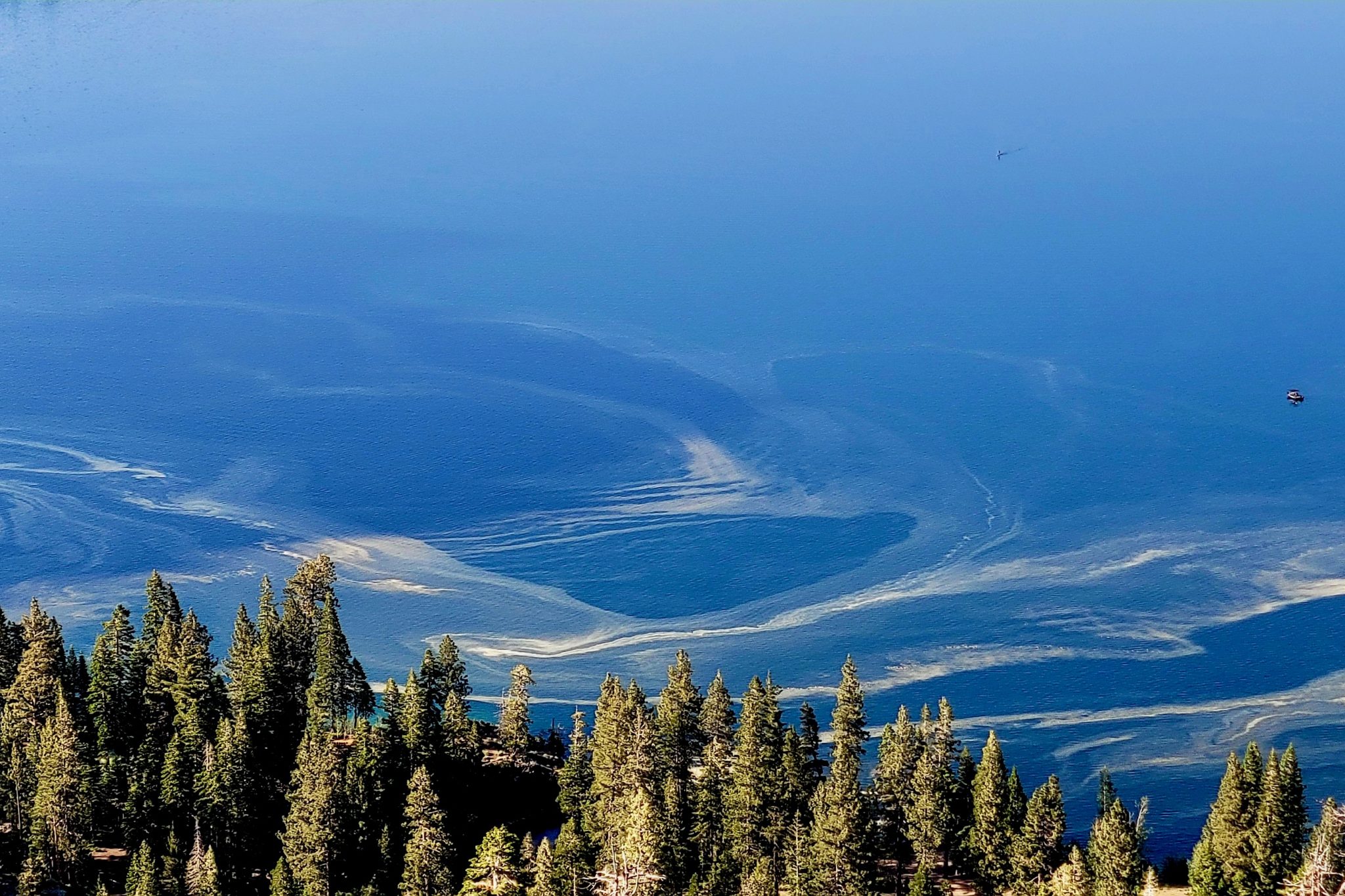 Is Pine Pollen This Year Worse Than Last TahoeDailyTribune is-pine-pollen-this-year-worse-than-last-tahoedailytribune