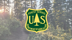 Mechanical fuels reduction underway on Lower Kingsbury Grade